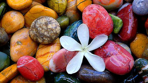 f2b778822e8330bcdb206c3707f934e6-2